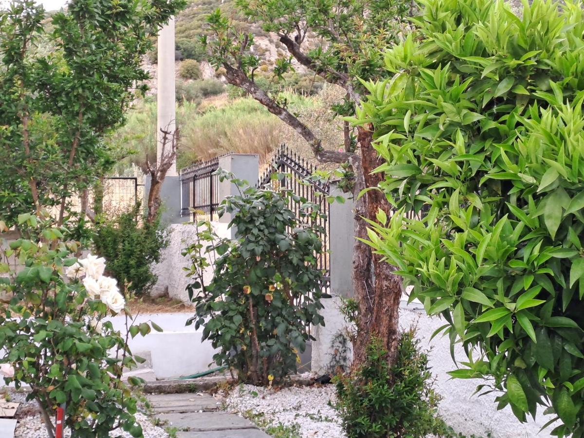 Myrsini' S House Villa Néa Péramos Bagian luar foto